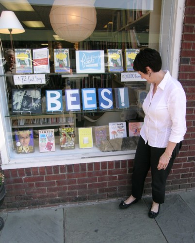 sue-and-bees-window-and-cat